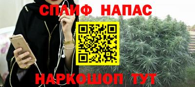 амф Обь
