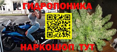 эйфоретик Обнинск