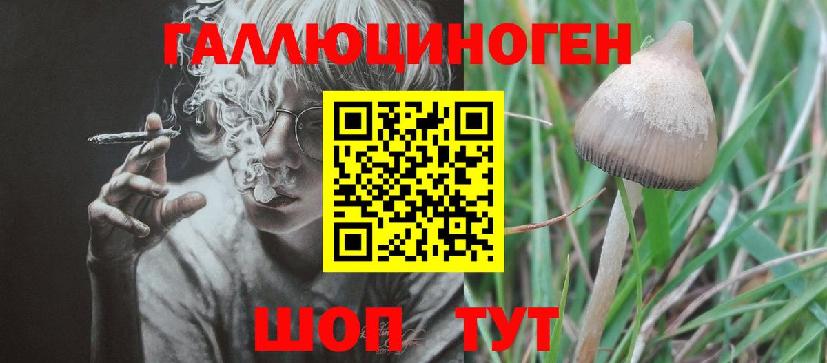 Псилоцибиновые грибы прущие грибы  Вход с VPN  Сургут  Галлюциногенные грибы Psilocybine cubensis 